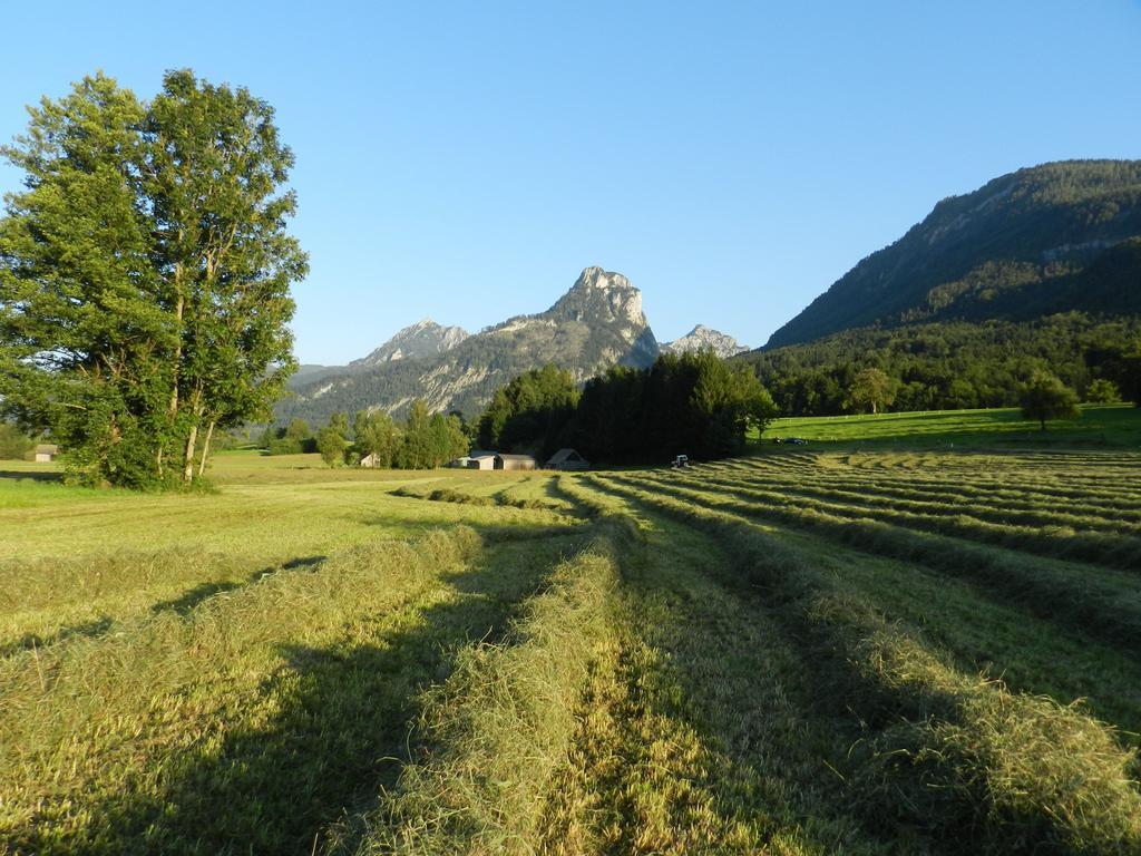 Gasthof Wiesenhof ストローブル エクステリア 写真