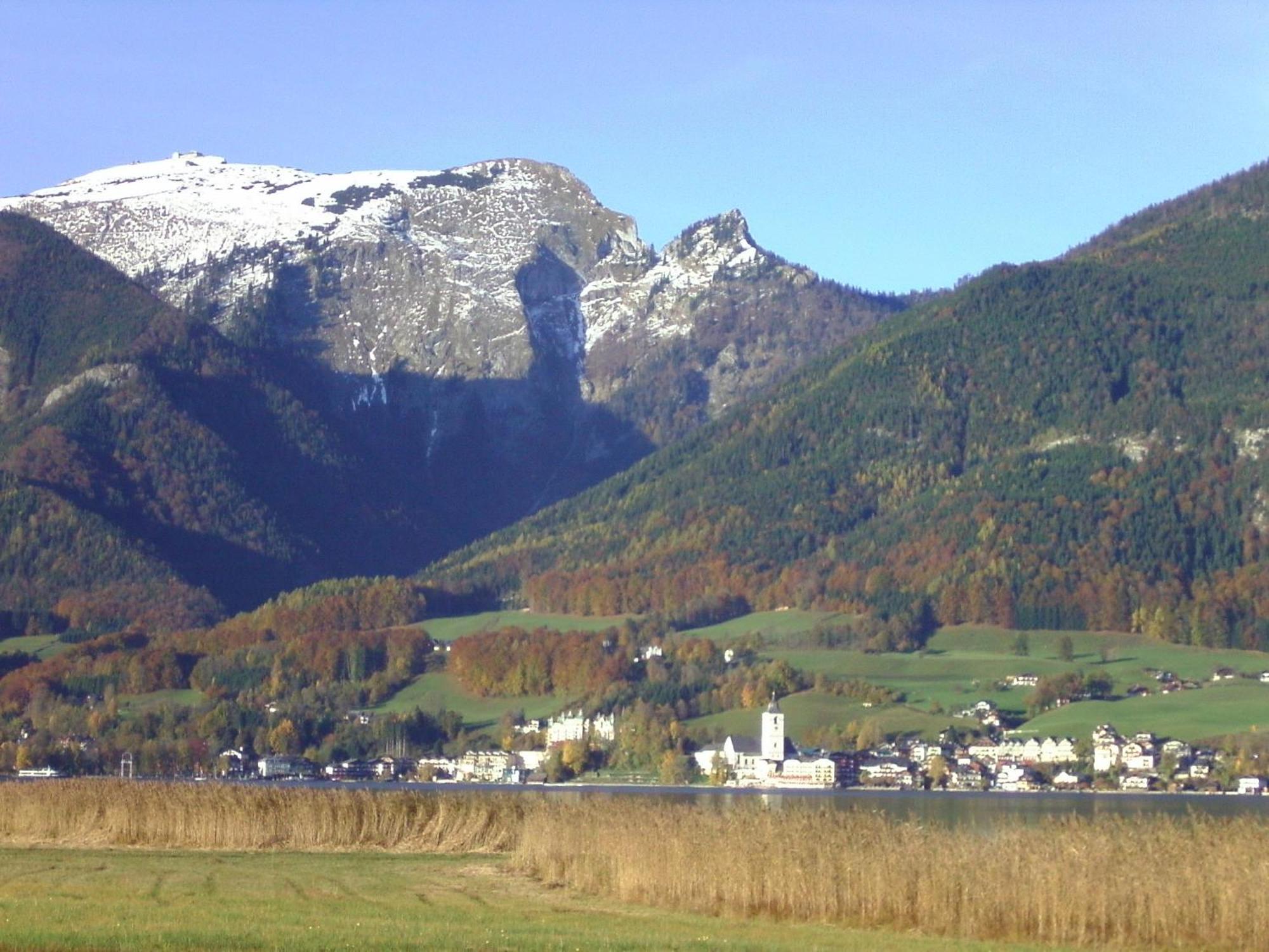 Gasthof Wiesenhof ストローブル エクステリア 写真
